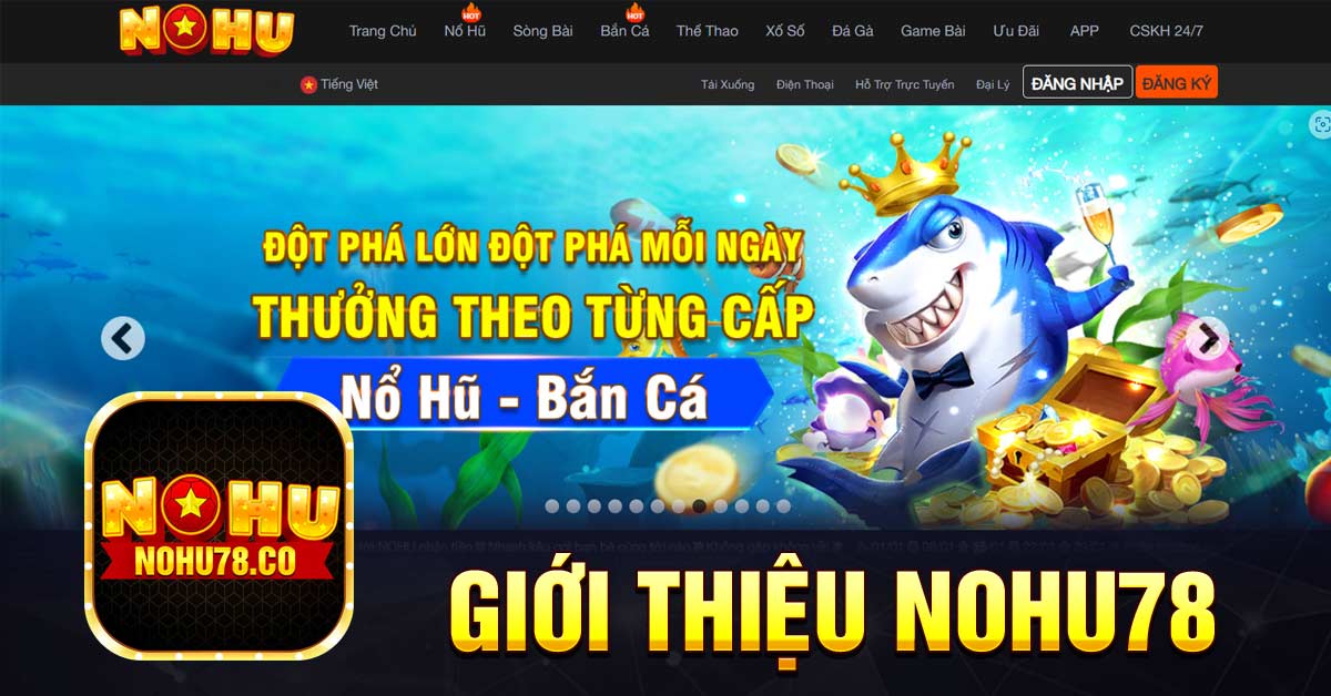 Giới thiệu Nohu78 chi tiết nhất